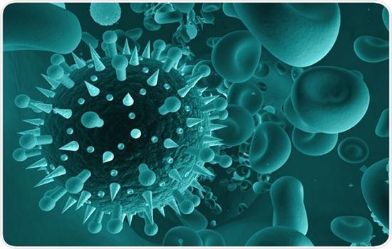 Nhiễm vi rút hợp bào hô hấp - Hình ảnh minh họa