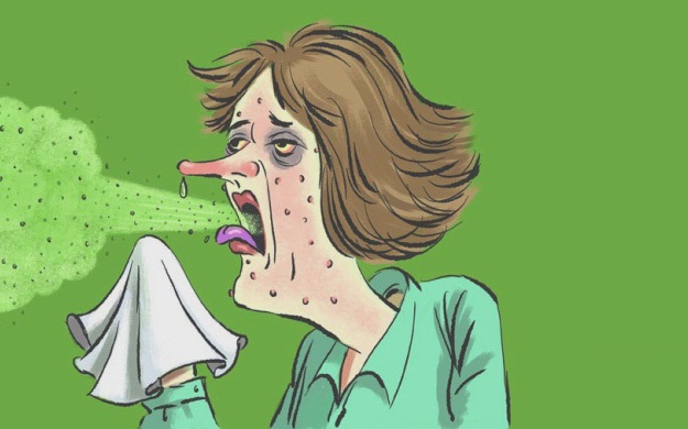 Phó thương hàn - Hình ảnh minh họa