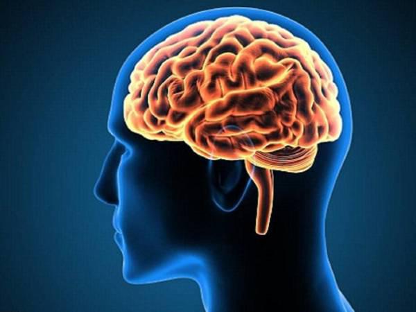 Tụ máu não - Hình ảnh minh họa