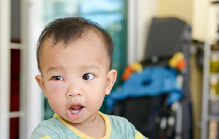 Viêm bờ mi - Hình ảnh minh họa