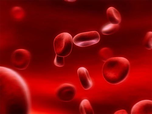 Bệnh đa hồng cầu ở trẻ sơ sinh có nguy hiểm không? - ảnh 1