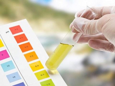Ý nghĩa xét nghiệm nước tiểu