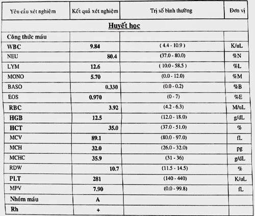 Ý nghĩa các chỉ số trong xét nghiệm máu - ảnh 3