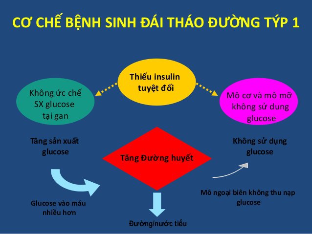 Đái tháo đường type mấy bắt buộc phải dùng insulin? - ảnh 1
