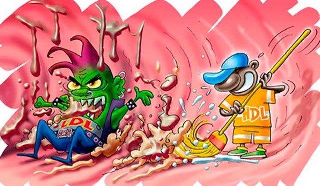 Chỉ số HDL - Cholesterol trong máu cao có ý nghĩa gì? - ảnh 1