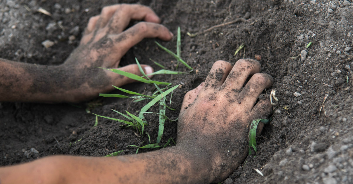 Melioidosis - Hình ảnh minh họa