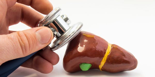 Vai trò và chức năng của men gan - Nguyên nhân khiến men gan tăng cao (Kỳ II) - ảnh 1