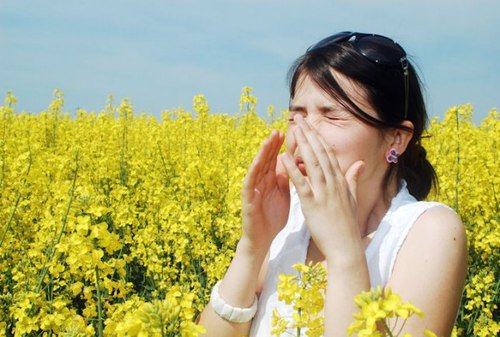 Viêm mũi dị ứng thường xảy ra lúc chuyển mùa - ảnh 1