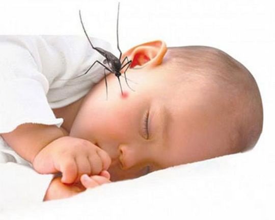 Vắc-xin viêm não Nhật Bản tiêm ở tay hay chân? - ảnh 1
