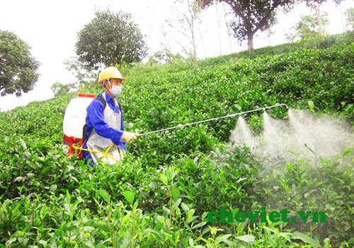 Các tác nhân gây tác động xấu tới thai kỳ mà mẹ bầu cần biết - ảnh 2