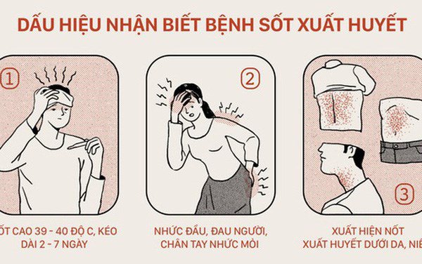 Dấu hiệu sốt xuất huyết