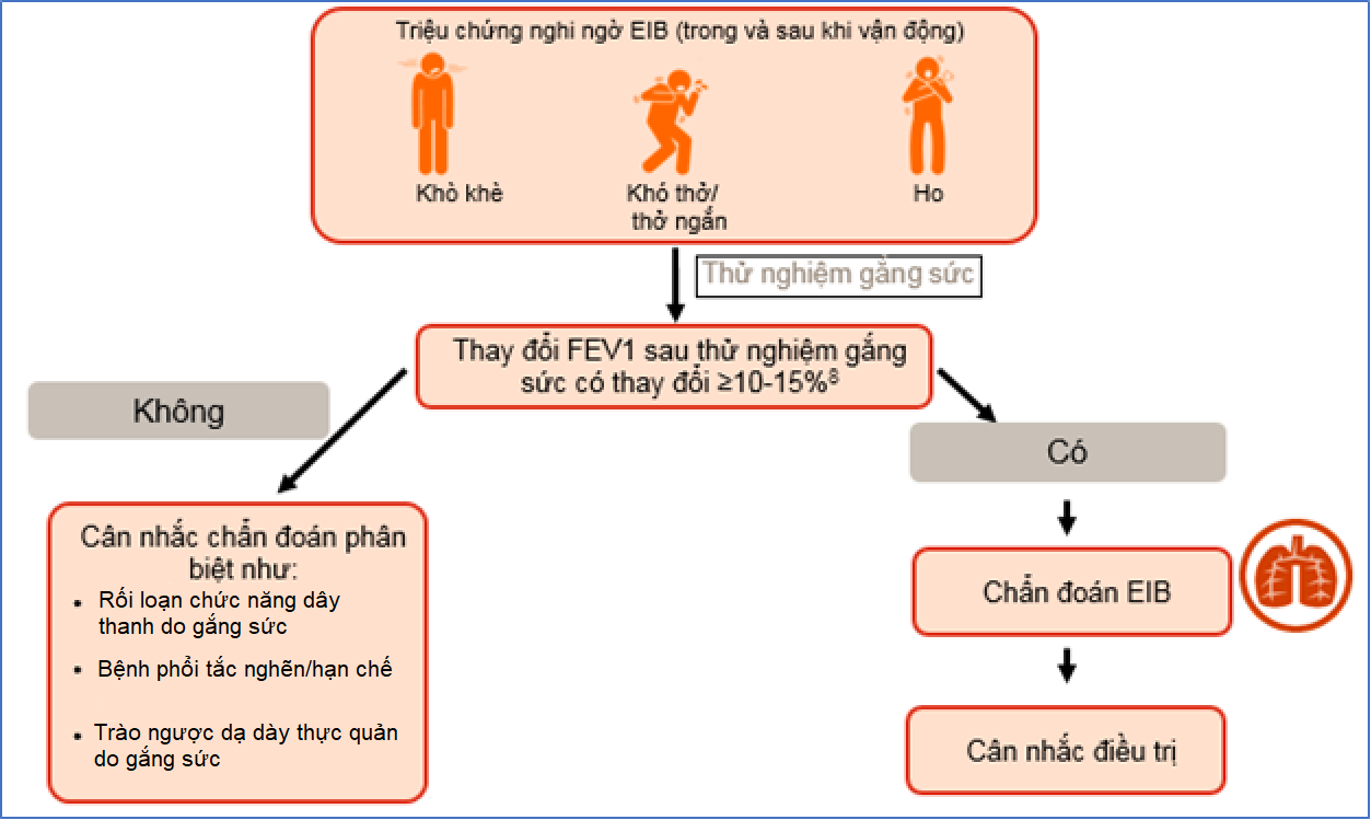 Co thắt phế quản do gắng sức - ảnh 5