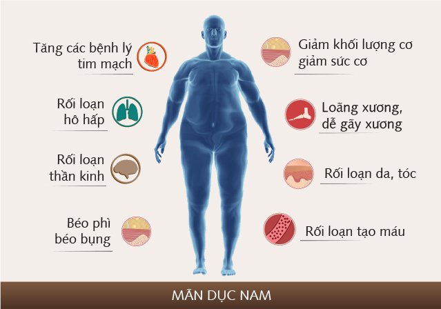 Điều trị hội chứng suy giảm testosterone ở nam giới - ảnh 1