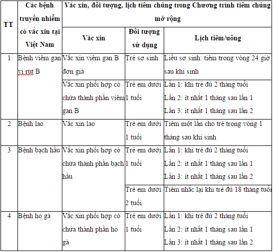Trẻ dưới 1 tuổi cần phải tiêm những vắc-xin nào? - ảnh 2