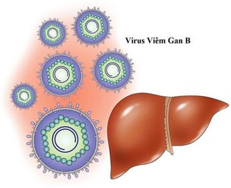 Vắc-xin phòng viêm gan B: Công dụng, liều dùng, chỉ định, chống chỉ định và tác dụng - ảnh 1