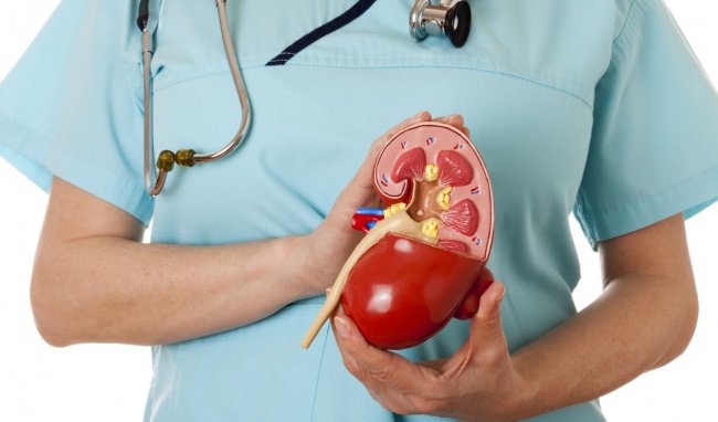 Hội chứng thận hư có nguy hiểm không?, Chẩn đoán và điều trị như thế nào? - ảnh 2