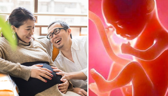Sự phát triển của thai nhi tuần 19 mẹ bầu cần biết - ảnh 2