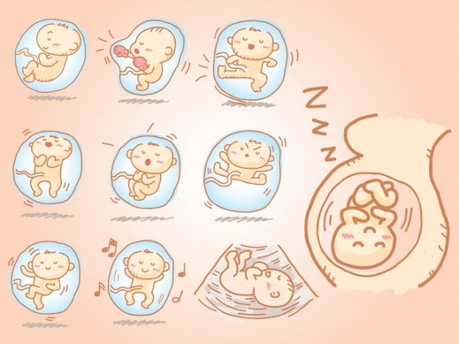 Sự phát triển của thai nhi tuần 21 mẹ bầu cần biết - ảnh 1