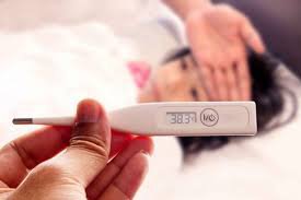 Bệnh sốt xuất huyết những điều cần biết - ảnh 2