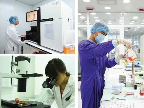 Tế bào gốc là gì và vai trò của tế bào gốc? - ảnh 5