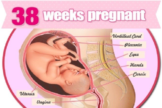 Sự thay đổi của bà bầu tuần 38 mẹ bầu cần biết - ảnh 1