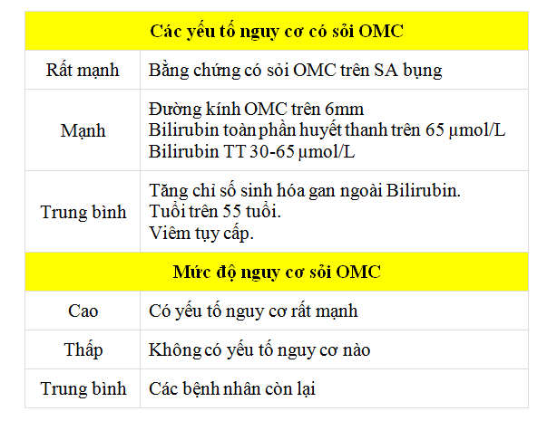 Sỏi túi mật là bệnh gì? Nguyên nhân, triệu chứng, chẩn đoán và cách xử trí - ảnh 6