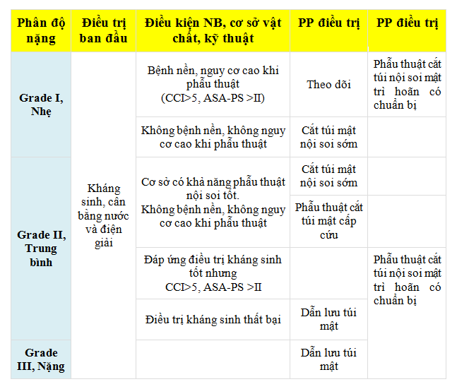 Sỏi túi mật là bệnh gì? Nguyên nhân, triệu chứng, chẩn đoán và cách xử trí - ảnh 8