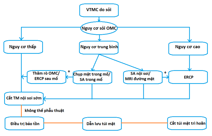 Sỏi túi mật là bệnh gì? Nguyên nhân, triệu chứng, chẩn đoán và cách xử trí - ảnh 7