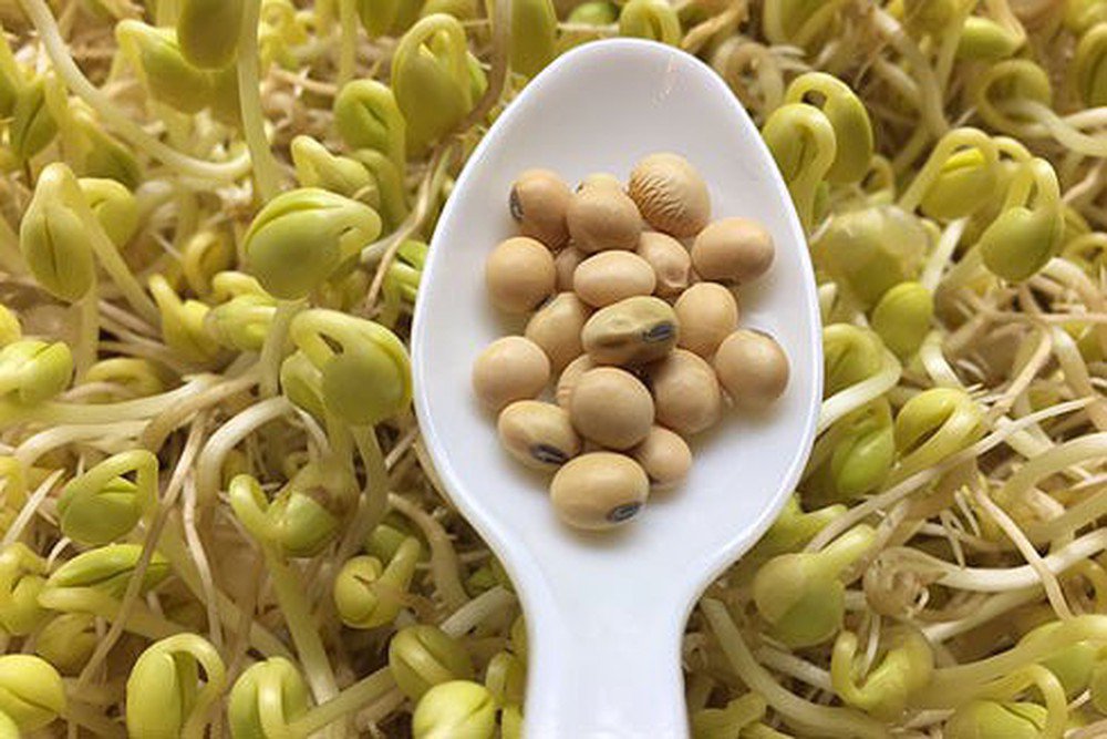 Làm gì để kéo dài tuổi hồi xuân ở phụ nữ - ảnh 1