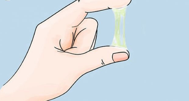 Các bệnh thường gặp ở âm đạo phụ nữ cần biết - ảnh 2