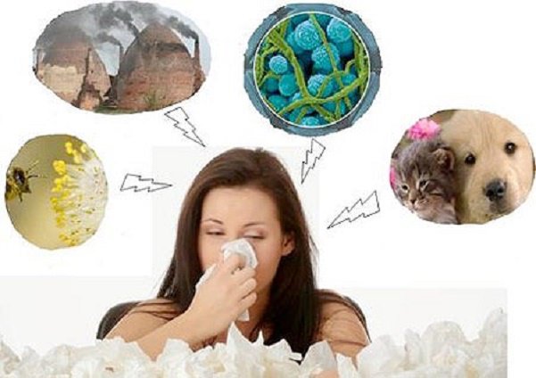 Viêm mũi dị ứng