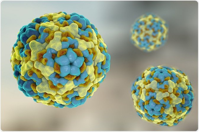 Enterovirus