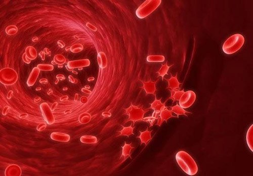 Nội soi thắt búi giãn tĩnh mạch thực quản bằng vòng cao su - ảnh 1
