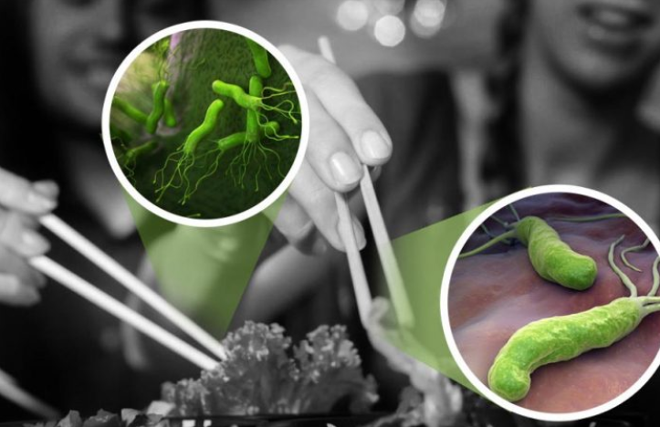 Nhiễm vi khuẩn HP (Helicobacter pylori) dạ dày có nguy hiểm không? - ảnh 1