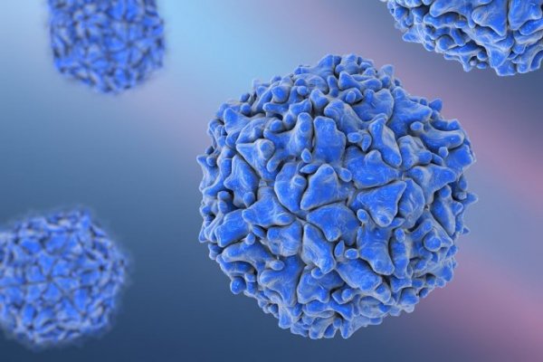 Tìm hiểu về loại virus là tác nhân gây bệnh bại liệt - ảnh 1