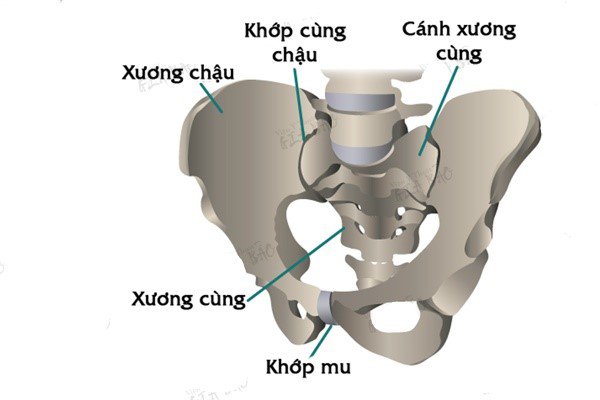 Đau vùng xương chậu mãn tính ở nữ - ảnh 1
