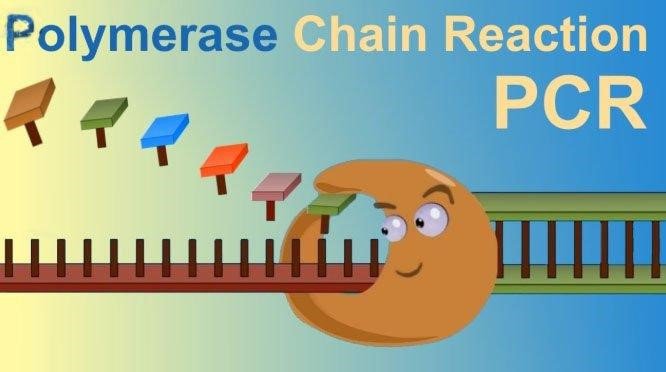 Cách phát hiện vi khuẩn lậu - ảnh 4
