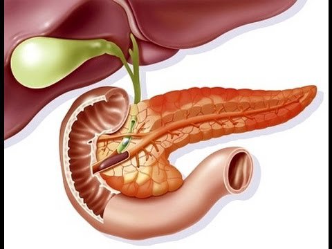 Điều gì tạo nên hệ thống nội tiết? - ảnh 5