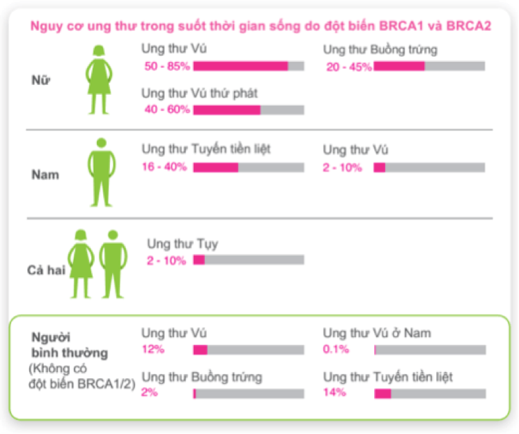 Gen BRCA1