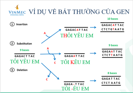 Các dạng đột biến điểm