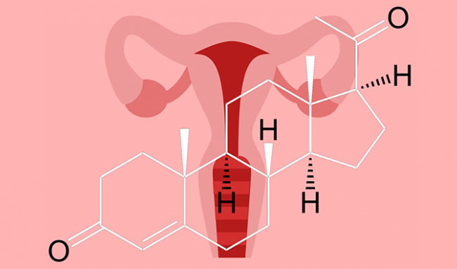 Progesterone