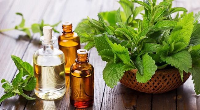 Lưu ý chọn thức ăn khi bạn bị đau dạ dày - ảnh 3