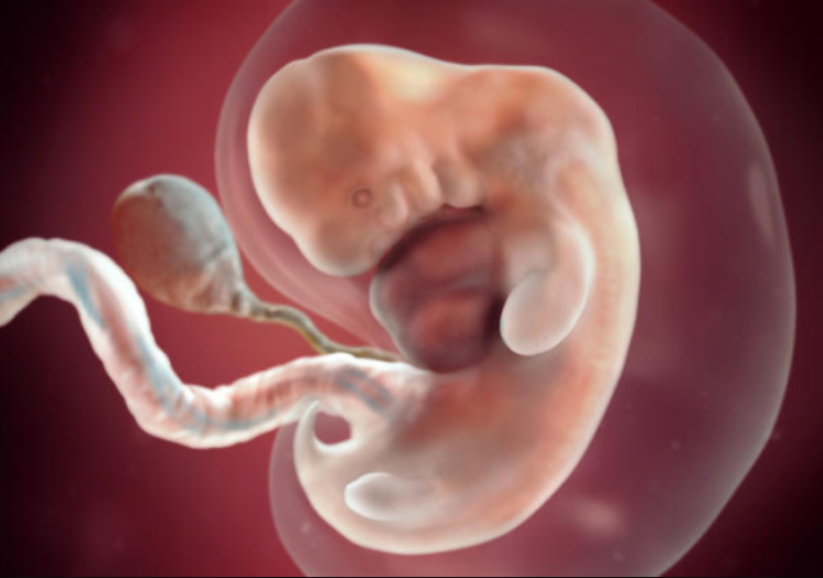 Điều trị dị tật còn ổ nhớp lộ ngoài ở trẻ - ảnh 1