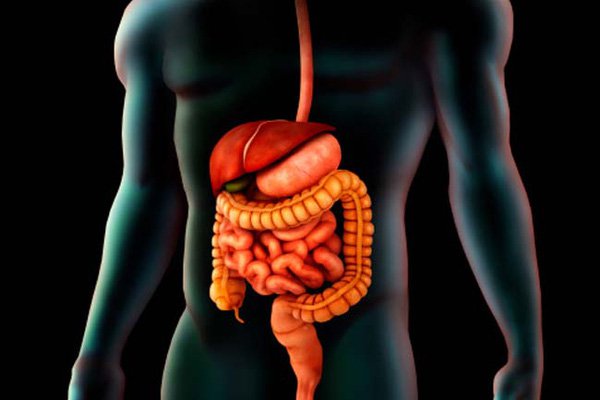 Cắt thực quản qua nội soi ngực bụng điều trị ung thư thực quản - ảnh 1