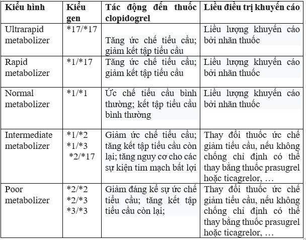 mối tương quan giữa kiểu gen, kiểu hình và liều điều trị cho từng cá thể