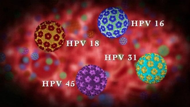 Nhiễm HPV ở nam giới gây ra Ung thư dương vật - ảnh 2