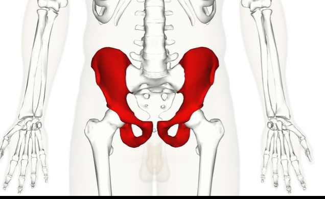 Chụp MRI cộng hưởng từ tiểu khung