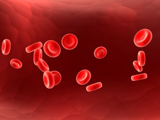 Bệnh Crohn ở trẻ em và thiếu niên - ảnh 2