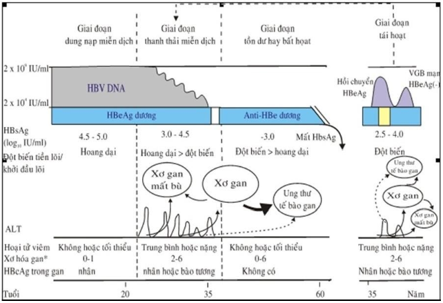 Lịch sử tự nhiên của nhiễm VGB