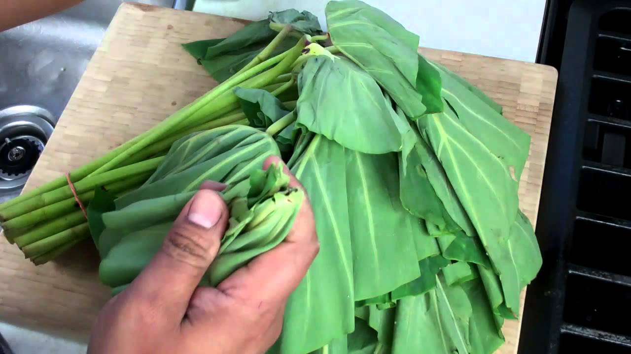ngâm lá khoai môn